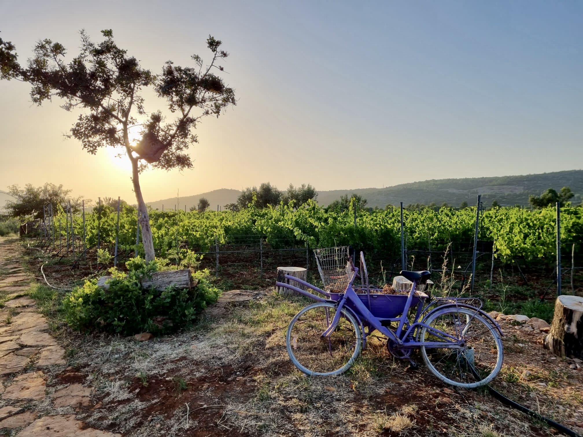 Top things to do and see in Croatia. Croatia travel guide and itinerary.